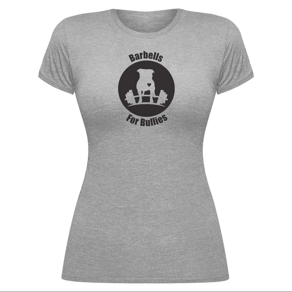 Hylete “Barbells for Bullies” Grey T-Shirt Size: Small​